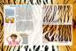 Preview: Entdecke die Tiger